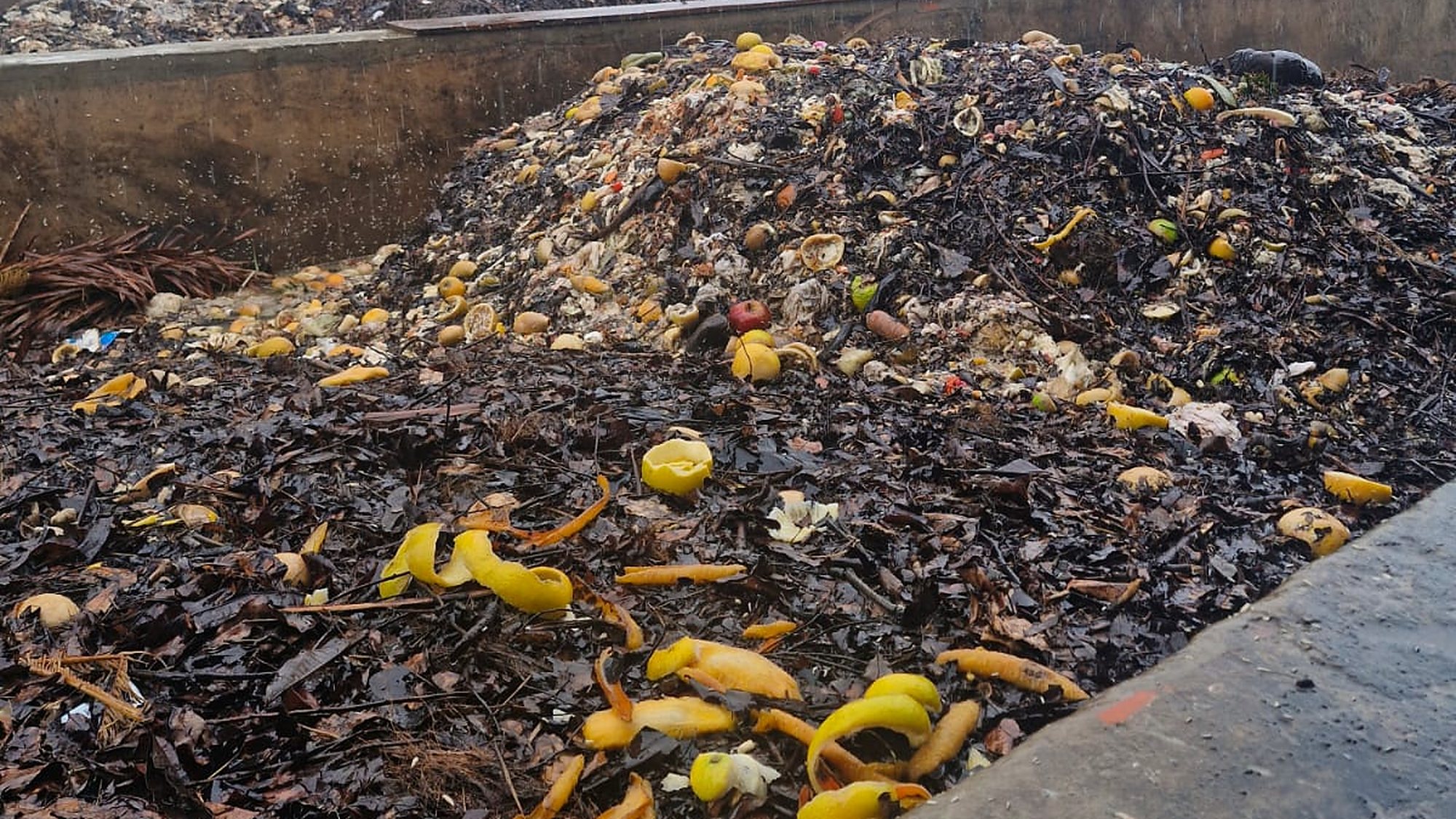 Leira de compostagem na usina BioSinergia